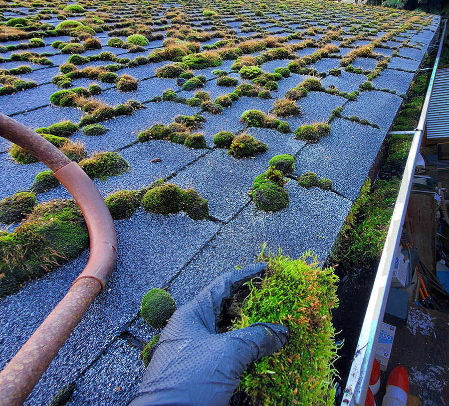 removing moss from gutter