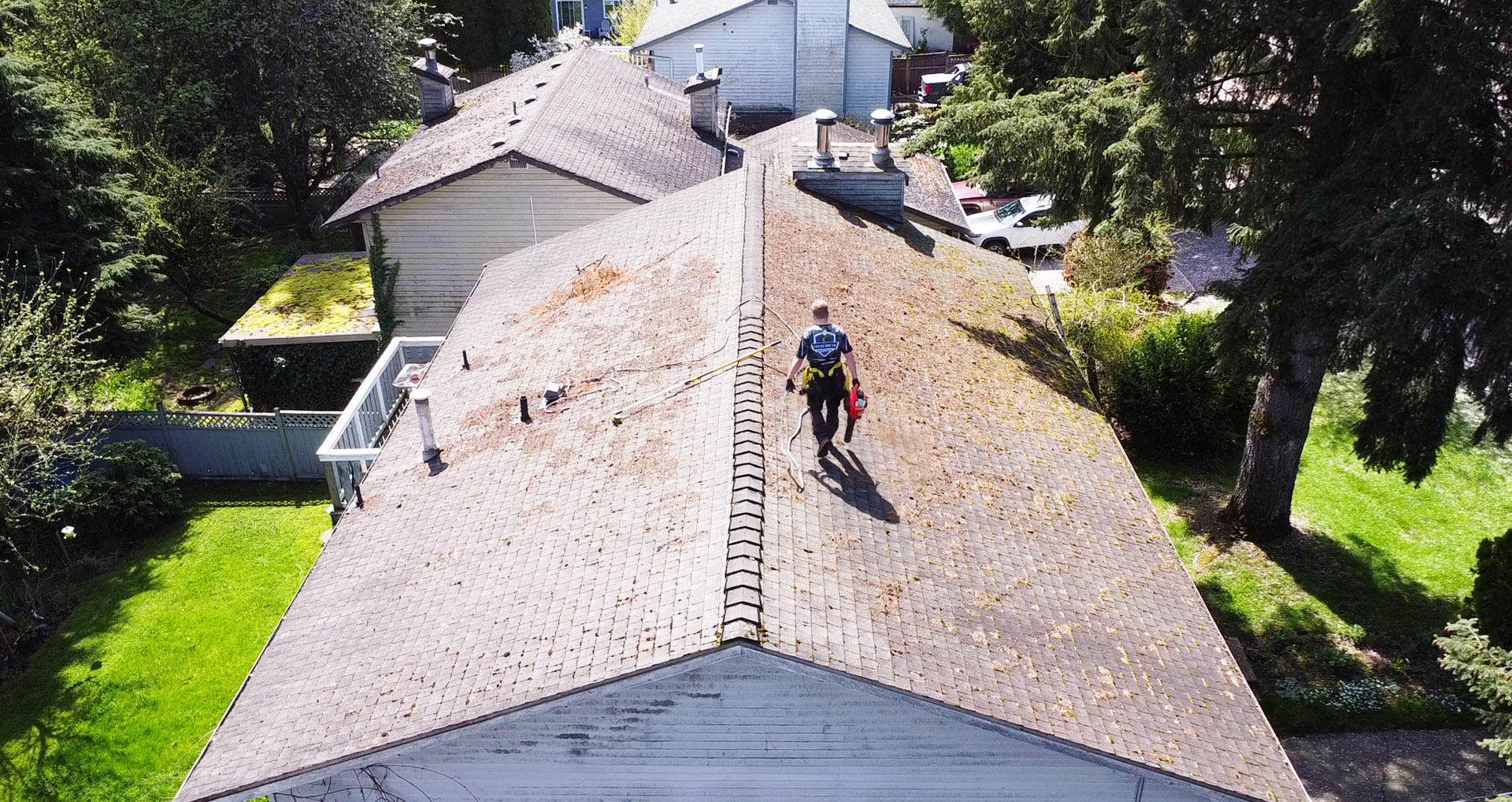a team member removing moss from a roof