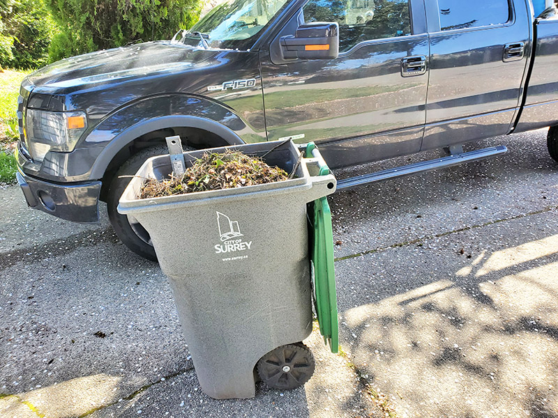 a garbage bin full of moss