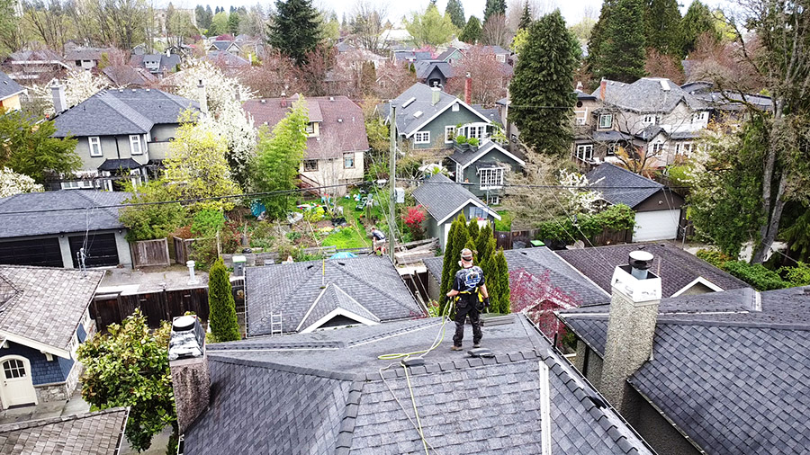 team members removing moss from roof in kitsilano vancouver