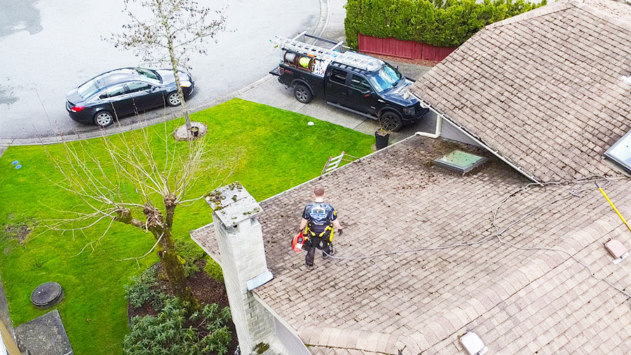 an employee removing moss from a shingle roof